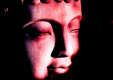 Pink buddha head