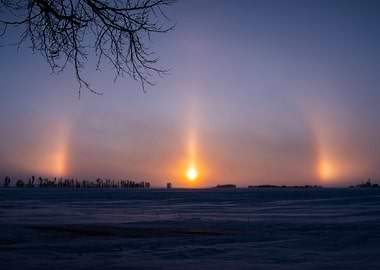 Three of Cold