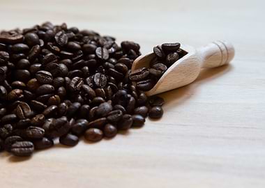 Coffe beans