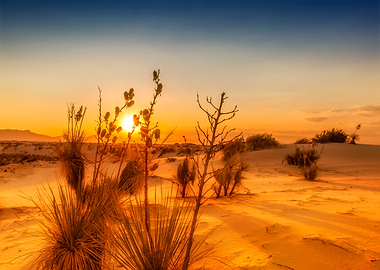 White Sands Sunset
