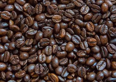 Coffe beans