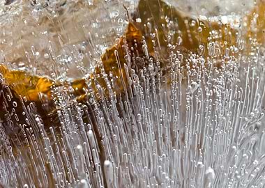 Ice bubbles frozen in ice
