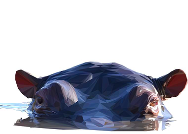 Hippo Isolated