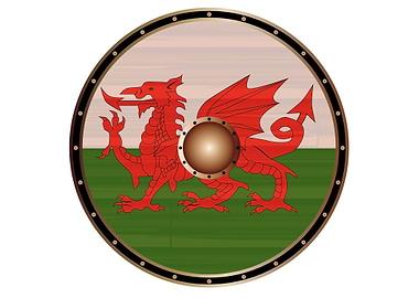 Welsh Dragon Flag Shield