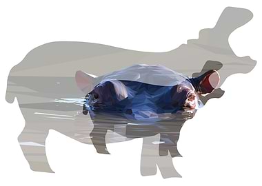 African Hippo Family