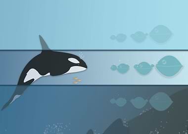 New Species Under Water