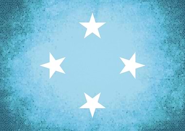 Micronesia vintage flag
