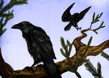 Hugin and Munin