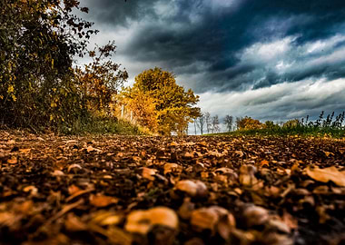 The storm is comming