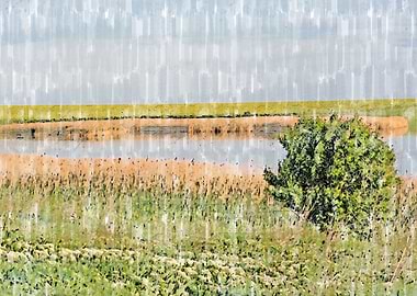 Nature artwork for home