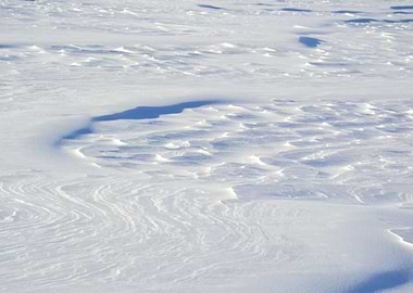 Snowdrift