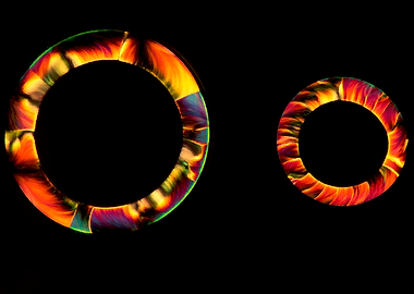 Enso Circles