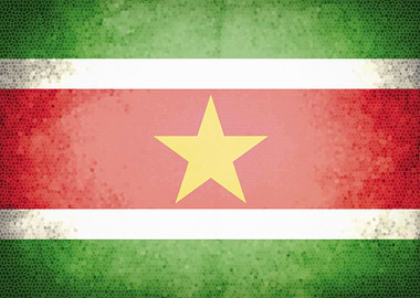 Suriname vintage flag