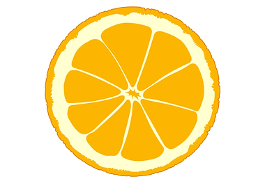Orange Slice