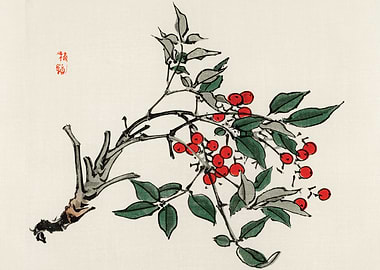 Firethorns by Kono Bairei