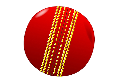 Cricket Ball