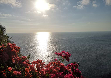 Flowers over the sea