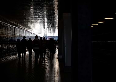 Amsterdam sin city trippin