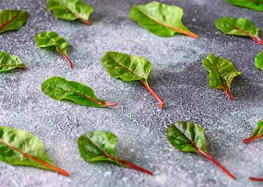 Red chard