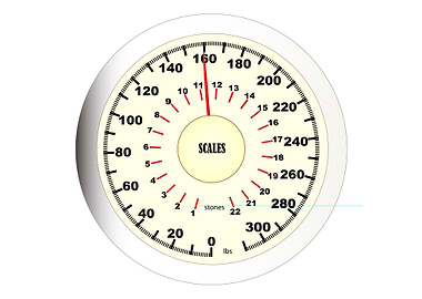 Bathroom Scales Dial