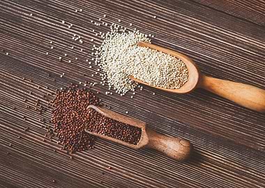 Raw white and red quinoa