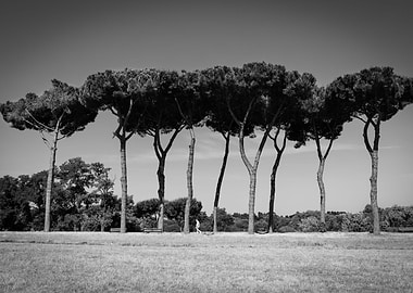 Villa Pamphili in Rome