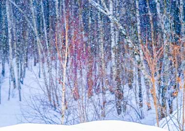 Snow Forest Pastel Colors