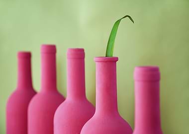 Bottle Pink