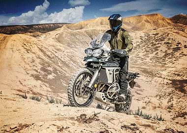 Triumph Tiger 800