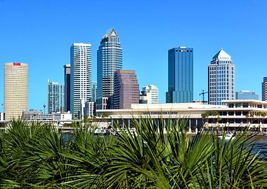 Tropical Tampa Florida