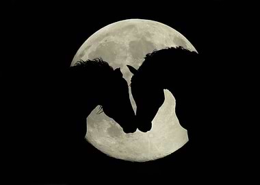 Moon Lovers