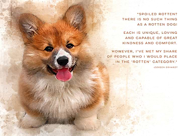 Spoiled Rotten Dog