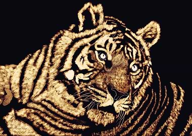 Sher Khan