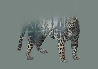 Jaguar and his habitat