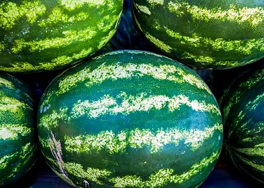 Green Watermelon Fruits