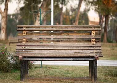 Wooden Bench