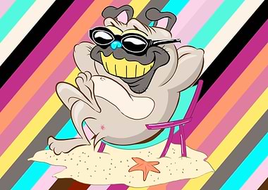 funny dog on the beach