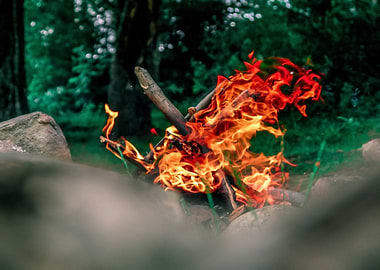 bonfire burn