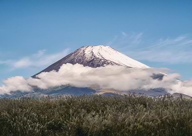 Mt Fuji above clouds