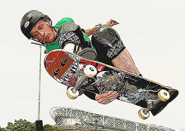 tony hawk
