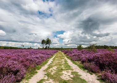 there is good in goodbye