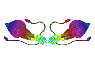 Rainbow Squids on white