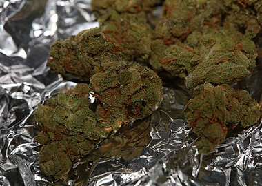 Cannabis AMG super skank