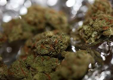 Cannabis AMG super skank