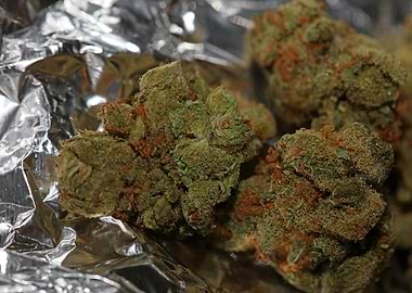 Cannabis AMG super skank