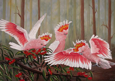 Major mitchell cockatoos