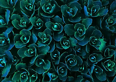 Green Twisted Plants