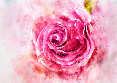 Romantic Pink Rose