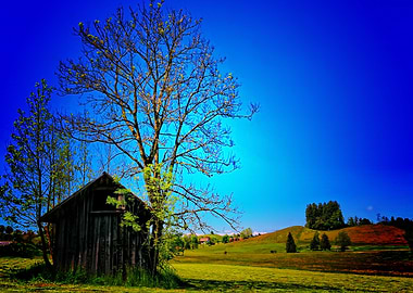 Nature Earth Countryside T
