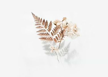 Brown ferns with leaves